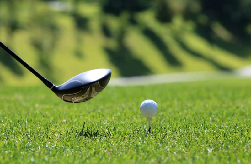 golf club web